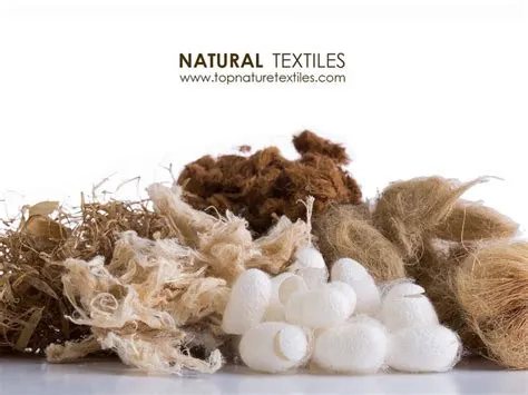   ¡Cotton: Explorando la Versatilidad de esta Fibra Natural en la Industria Textil!