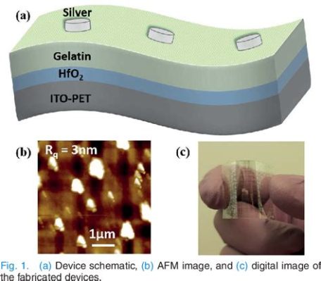  Gelatin: Un Biomaterial Flexible para Implantes Temporales y Cicatrización Efectiva!