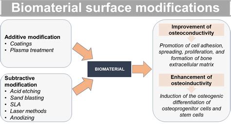 ¿Osteoconductivo y Biocompatible? ¡Descubra las Maravillas del Osteoinductor!